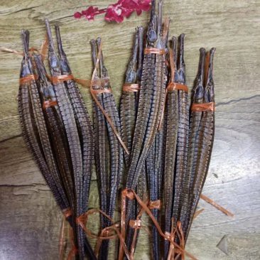 六角海龍和四角龍魚的價(jià)格差異大嗎？