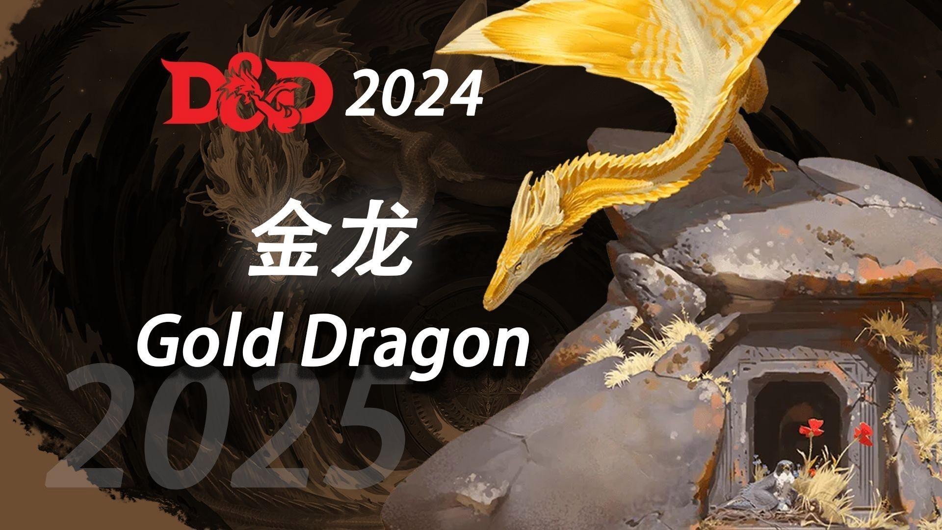 金龍在《龍與地下城》中的詳細設定是什么？