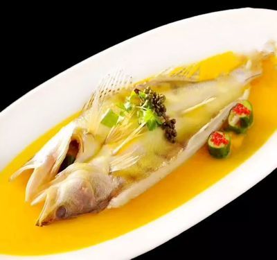 鱈龍魚
