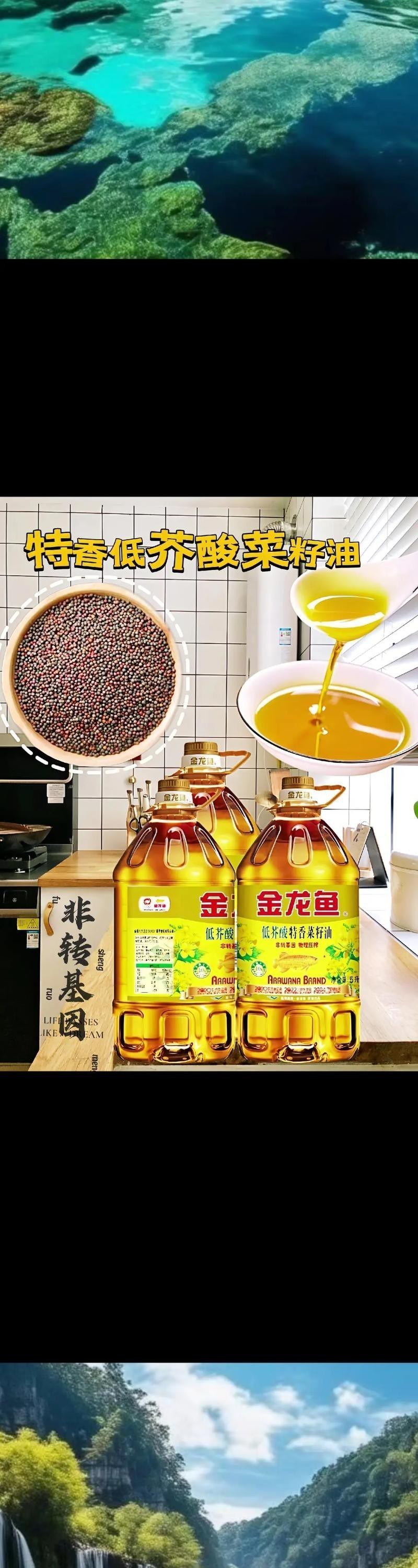 金龍魚一級油和精選油哪個更適合涼拌？