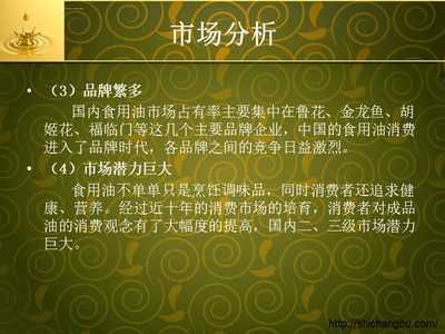 金龍魚營銷策劃方案怎么寫（金龍魚國際營銷策劃方案應詳細闡述其市場定位、目標客戶群、營銷策略及預期效果）