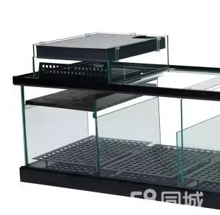 彩蝶龍潭新兵魚缸最新款：彩蝶龍潭新兵魚缸最新款式集中在以下幾個方面