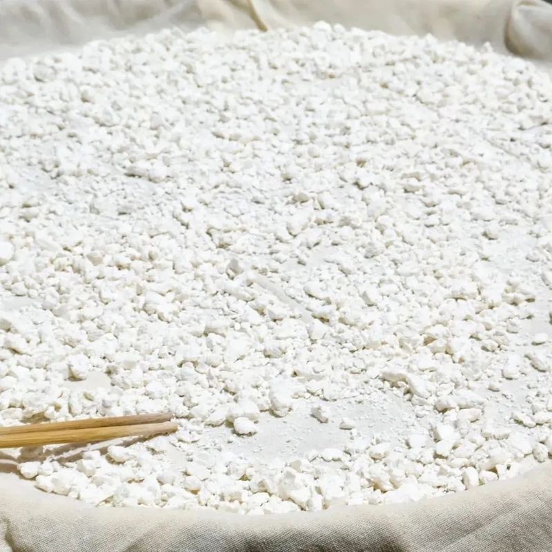 一夜龍魚舞是哪個節日