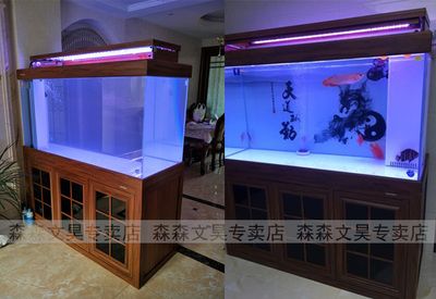 龍魚魚缸里放什么好：龍魚魚缸中放置的物品應該有助于其健康和生長以下推薦