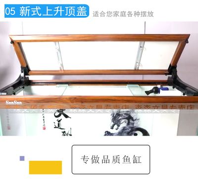 龍魚魚缸里放什么好：龍魚魚缸中放置的物品應該有助于其健康和生長以下推薦