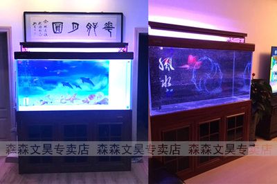 龍魚魚缸里放什么好：龍魚魚缸中放置的物品應該有助于其健康和生長以下推薦