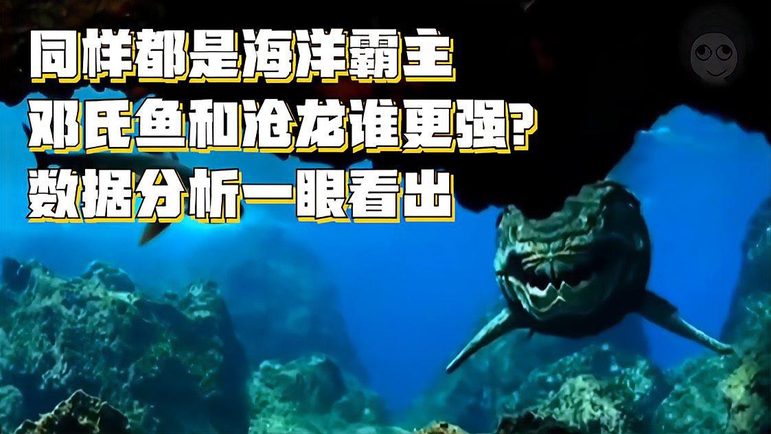 滄龍魚長什么樣子圖片大全
