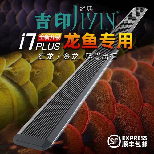 金龍魚觀賞專用燈
