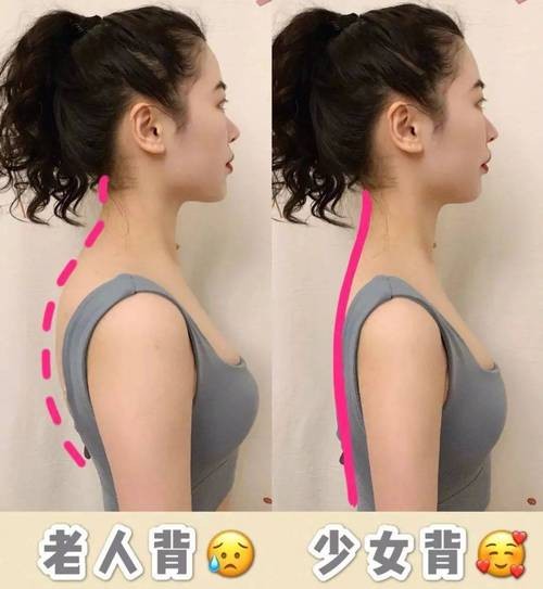 高背金龍魚和過背金龍魚的區別圖片大全視頻