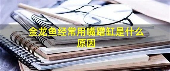 金龍魚躲在一個角落里不愛游動蹭缸：為什么金龍魚躲在一個角落里不愛游動？
