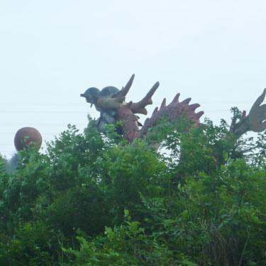 斬龍行為在哪些地區最為常見？
