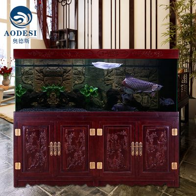 最便宜的龍魚缸是什么魚（最便宜的龍魚缸產品推薦）