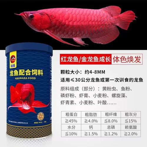 紅龍魚怎樣發(fā)色快