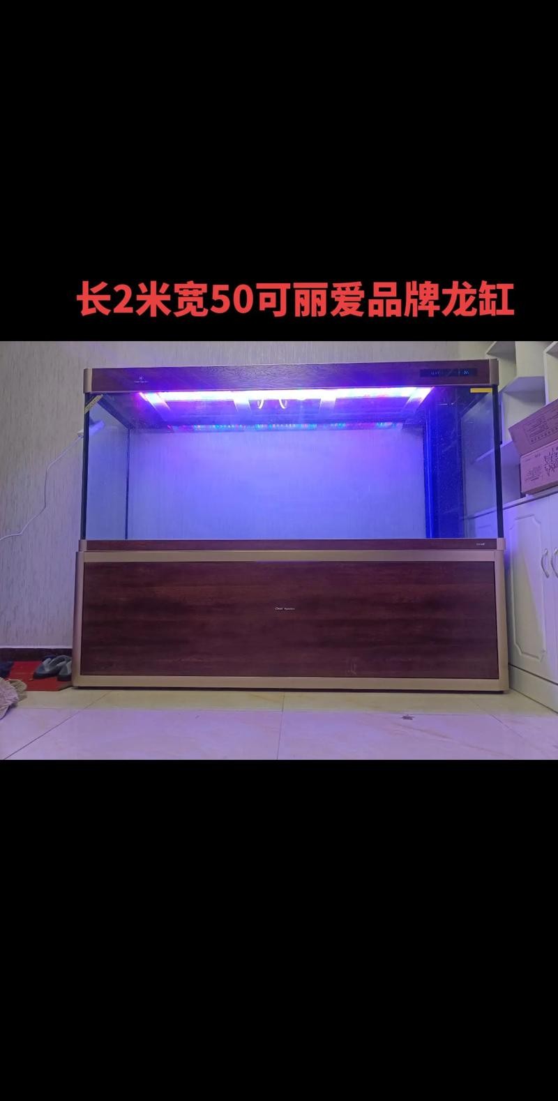 龍魚缸有什么特殊要求嗎圖片