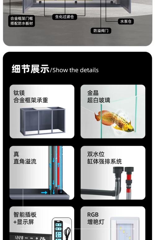 龍魚缸有什么特殊要求嗎圖片