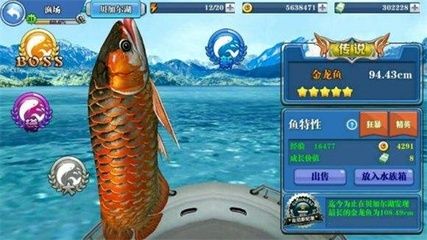 釣魚人生金龍魚怎么釣：《釣魚人生》金龍魚怎么釣 釣魚人生金龍魚怎么釣：《釣魚人生》金龍魚怎么釣 龍魚百科 第1張