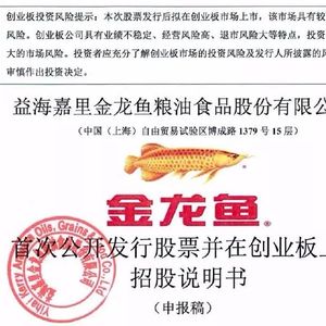 金龍魚案例：金龍魚案例分析
