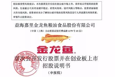 金龍魚案例：金龍魚案例分析