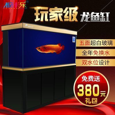 龍魚缸水位多高合適：龍魚缸水位的理想高度通常應在30至50厘米之間