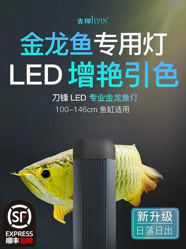 金龍魚(yú)燈使用多久需要更換？