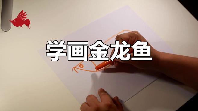 如何選擇適合畫金龍魚的畫材？