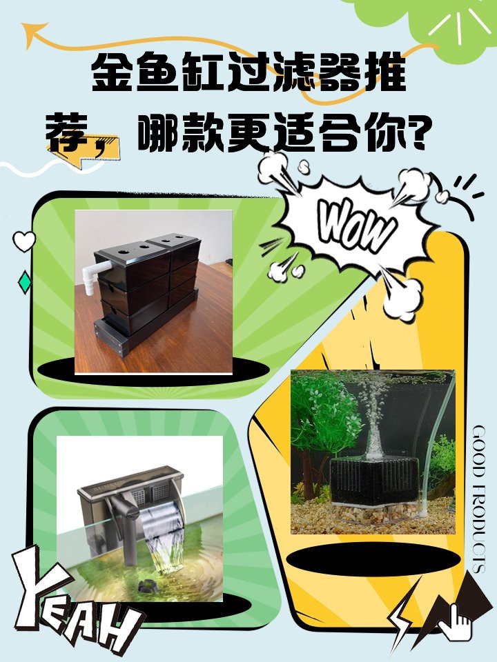 如何選擇適合金龍魚的過濾器 如何選擇適合金龍魚的過濾器 龍魚百科 第1張