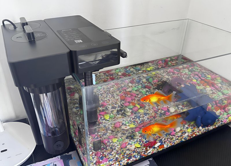 如何選擇適合金龍魚的過濾器 如何選擇適合金龍魚的過濾器 龍魚百科 第4張