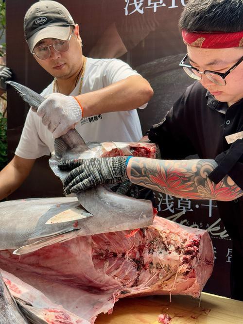 九角龍魚圖片欣賞