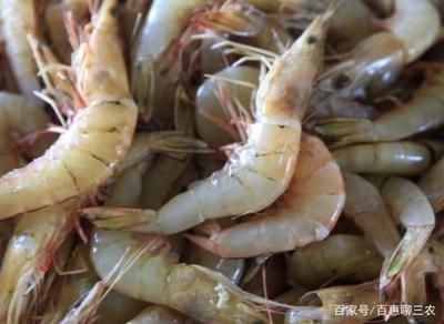 喂養紅龍魚的蝦，如何消毒殺菌：喂養紅龍魚的蝦在喂食前需要進行消毒殺菌處理以下幾種常見的消毒殺菌方法