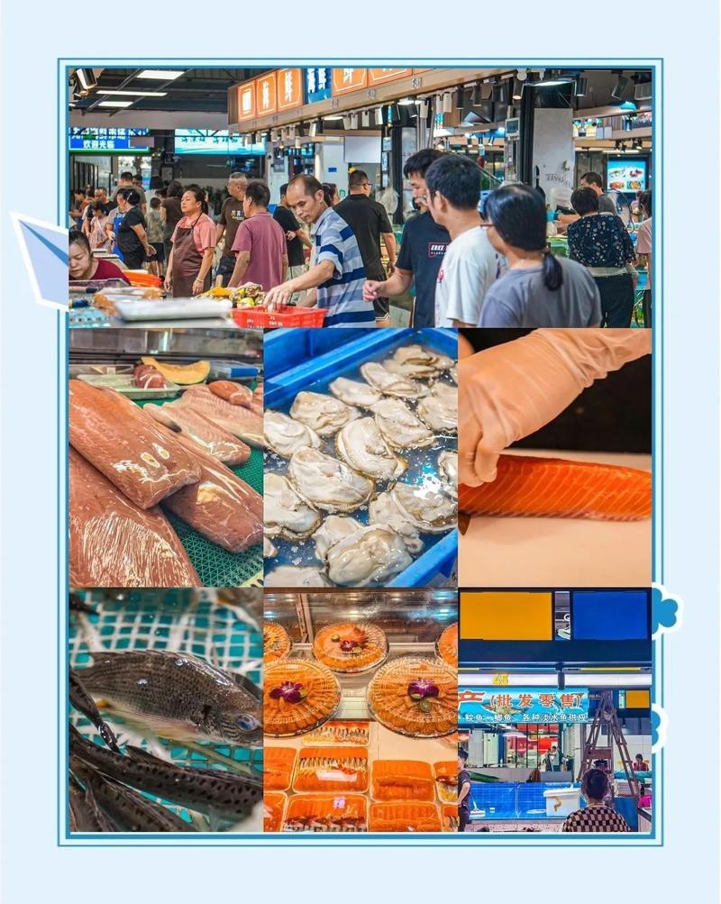 東莞龍魚批發市場地址查詢