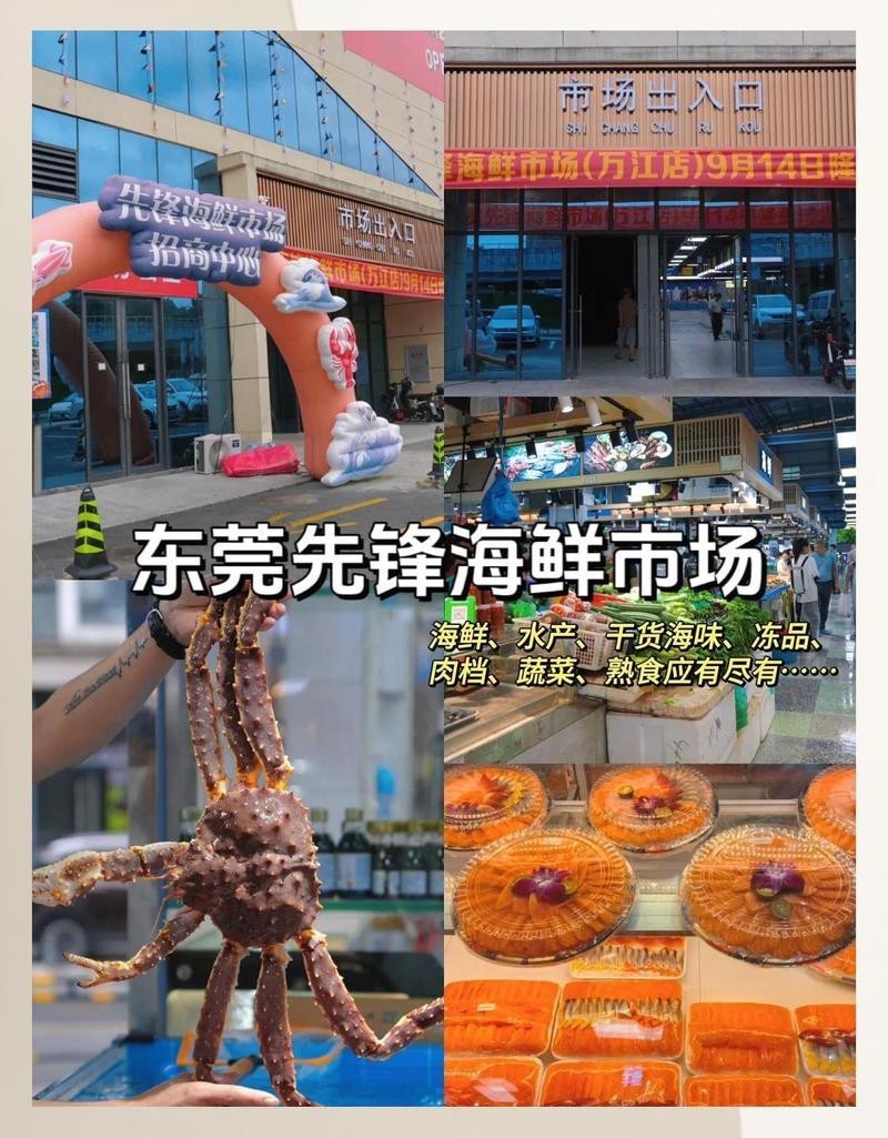 東莞龍魚批發市場地址查詢