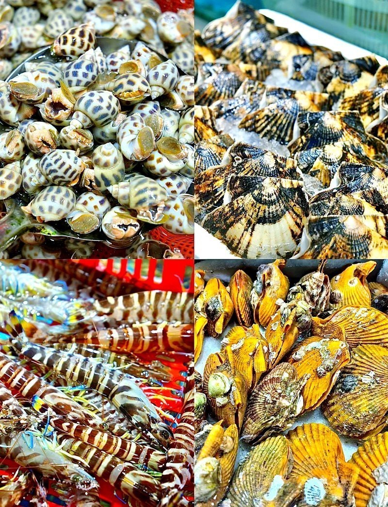東莞龍魚批發市場地址查詢