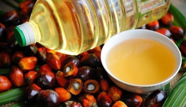 金龍魚外企哪個(gè)國家（金龍魚品牌及牌及其所屬公司）