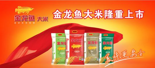 鄭州金龍魚食品廠(鄭州金龍魚食品廠信息) 龍魚百科 第5張 鄭州金龍魚食品廠(鄭州金龍魚食品廠信息) 鄭州金龍魚食品廠(鄭州金龍魚食品廠信息) 龍魚百科 第5張
