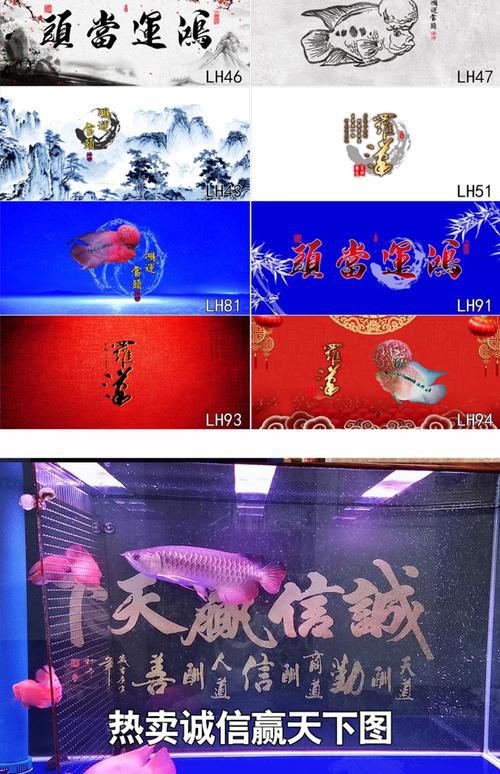 金龍魚魚缸背景圖片大全超清高清