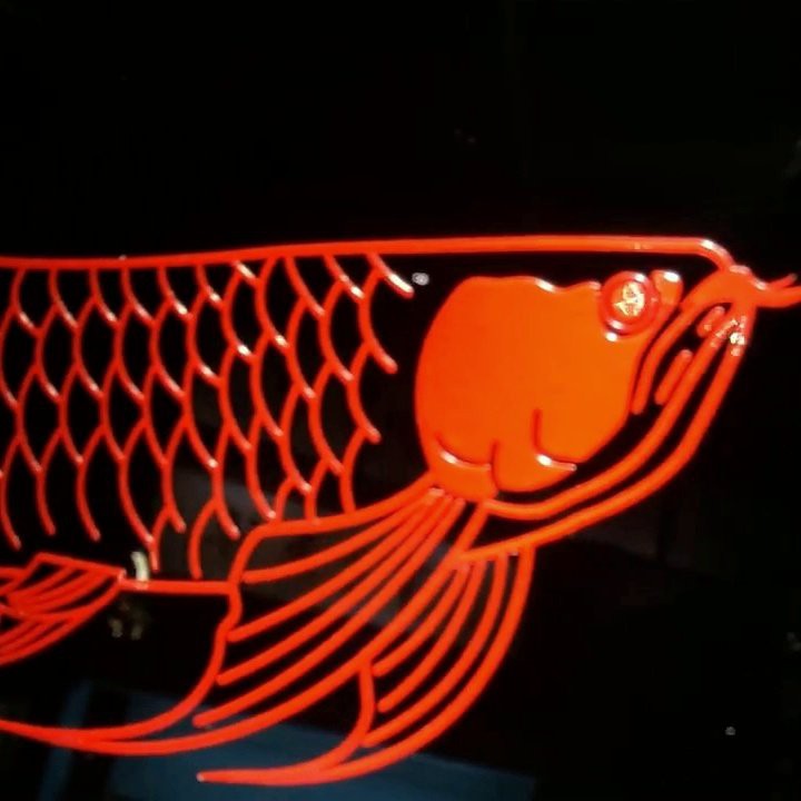 金龍魚魚缸背景圖片大全超清高清