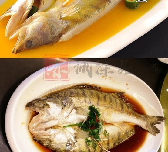 天山雪龍魚做法與圖片視頻