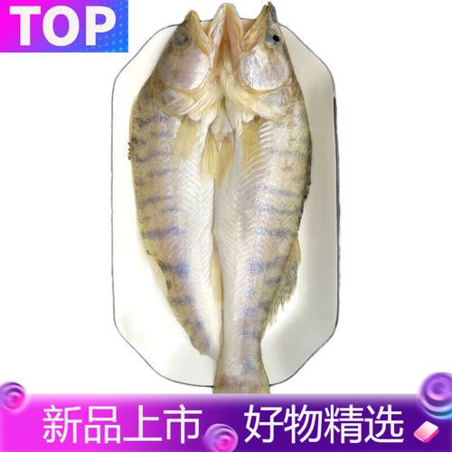 天山雪龍魚做法與圖片視頻