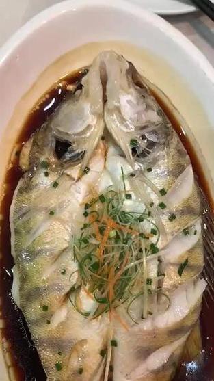 天山雪龍魚做法與圖片視頻