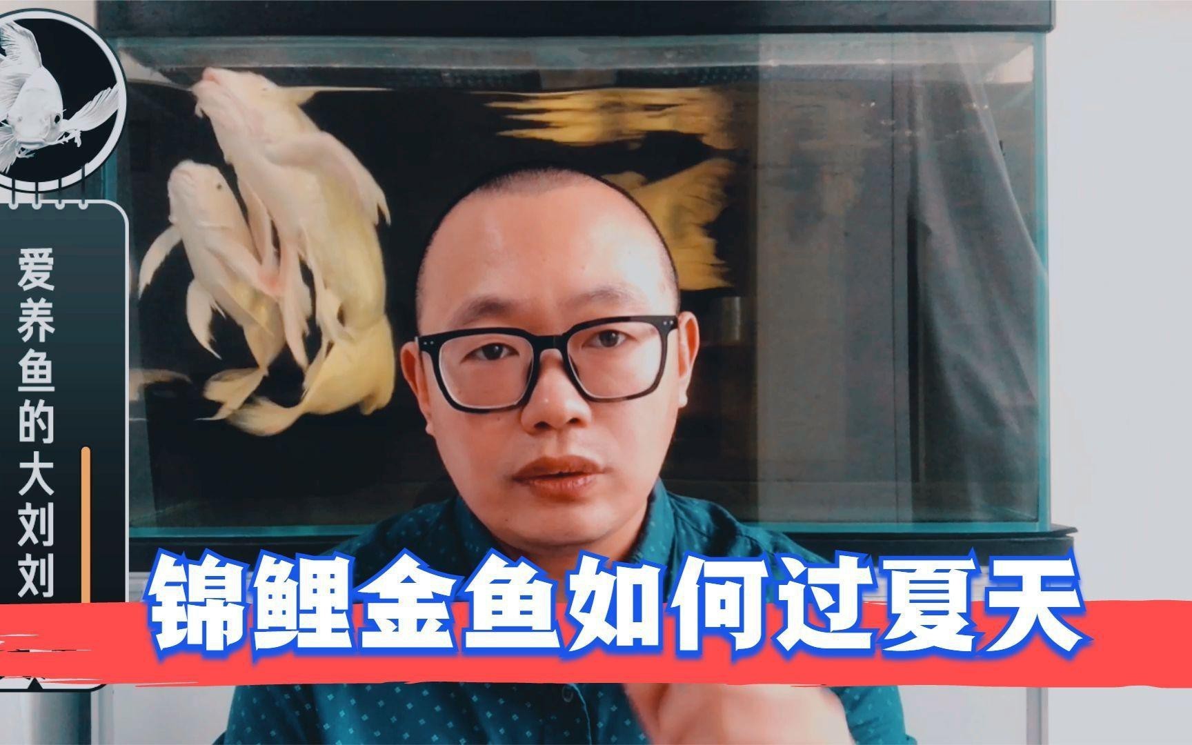 如何判斷魚缸水溫是否合適？