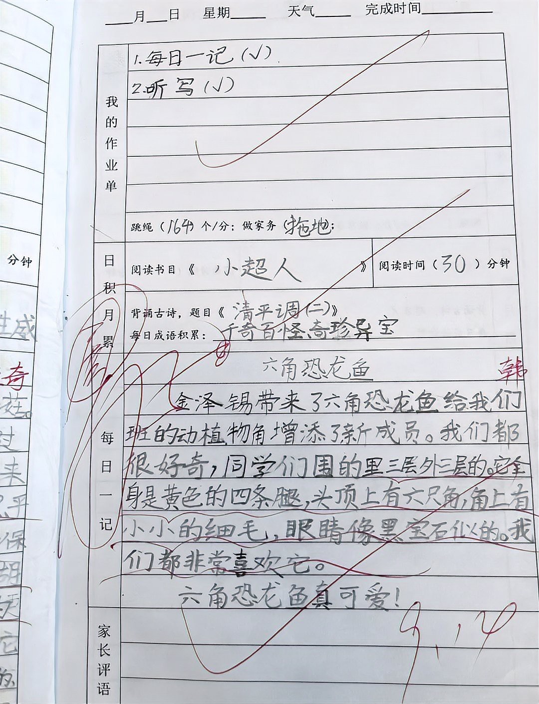 六腳龍魚多少錢一條圖片