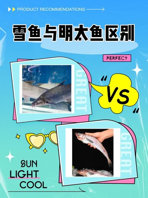 銀龍魚長大后圖片