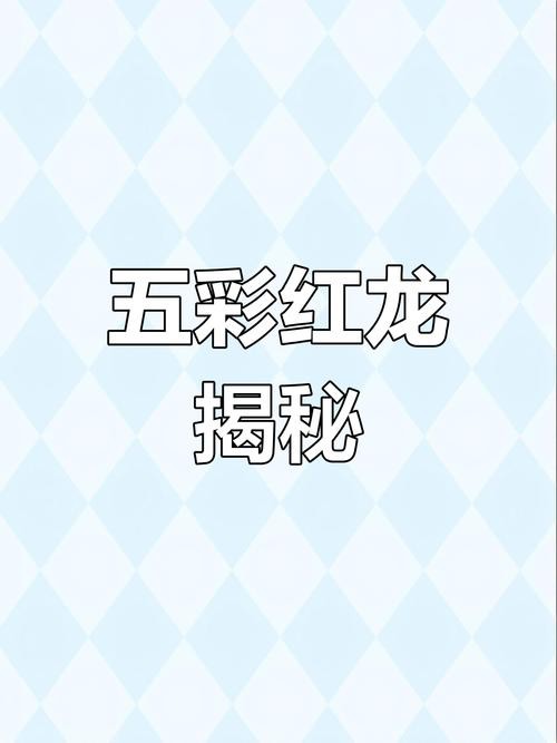 金龍魚的圖片大全高清大圖 龍魚百科 第26張 金龍魚的圖片大全高清大圖 金龍魚的圖片大全高清大圖 龍魚百科 第26張