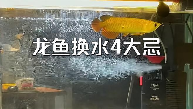 黑鱗龍魚(yú)換水時(shí)需要注意什么？
