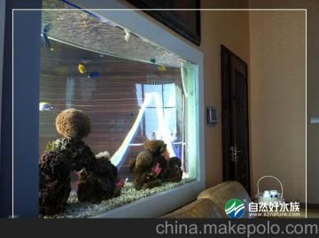 深圳魚缸定做定制,深圳魚缸定做價格范圍,深圳魚缸設計案例欣賞 龍魚百科 第1張 深圳魚缸定做定制,深圳魚缸定做價格范圍,深圳魚缸設計案例欣賞 深圳魚缸定做定制,深圳魚缸定做價格范圍,深圳魚缸設計案例欣賞 龍魚百科 第1張