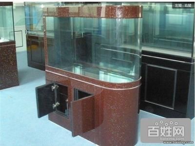 深圳魚缸定做定制,深圳魚缸定做價格范圍,深圳魚缸設計案例欣賞 龍魚百科 第5張 深圳魚缸定做定制,深圳魚缸定做價格范圍,深圳魚缸設計案例欣賞 深圳魚缸定做定制,深圳魚缸定做價格范圍,深圳魚缸設計案例欣賞 龍魚百科 第5張