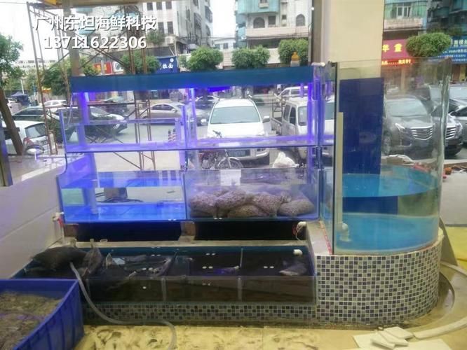 深圳魚缸定做定制,深圳魚缸定做價格范圍,深圳魚缸設計案例欣賞 龍魚百科 第4張 深圳魚缸定做定制,深圳魚缸定做價格范圍,深圳魚缸設計案例欣賞 深圳魚缸定做定制,深圳魚缸定做價格范圍,深圳魚缸設計案例欣賞 龍魚百科 第4張