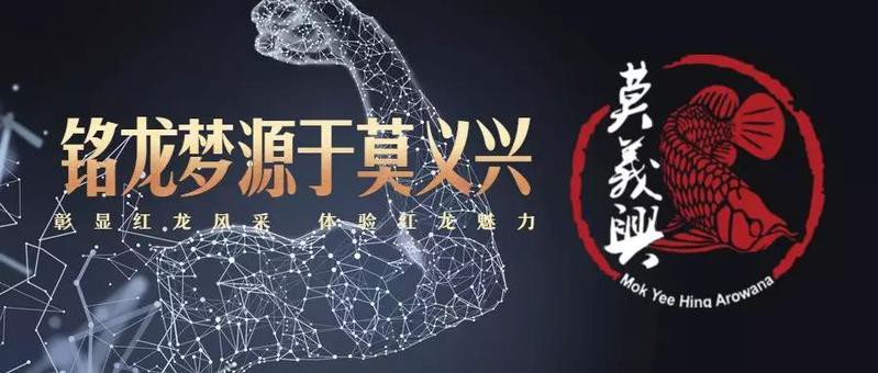 印尼紅龍魚場有哪些
