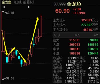 金龍魚今日股價是多少錢，金龍魚今日股價是多少錢今日股價是多少錢