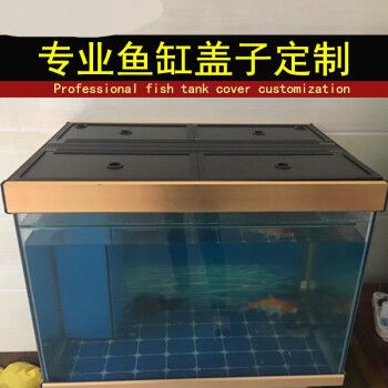 龍魚缸打氧氣方法